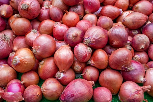 Background heads red onions